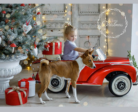 Vaiko, šeimos, kalėdinė fotosesija, fotostudija Vilniuje - Fotostudijos - 1 Fotostudijos - Vaiko, šeimos, kalėdinė fotosesija, fotostudija Vilniuje - 1