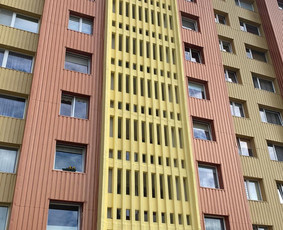Fasadų, stogų, tarpblokinių siūlių remontas, Aukštalipiai - Dažymo darbai aukštyje - 2 Dažymo darbai aukštyje - Fasadų, stogų, tarpblokinių siūlių remontas, Aukštalipiai - 2