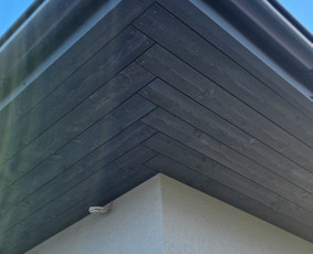 Viskas iš medžio,gipso ir netik - Dailylenčių kalimas - 3 Dailylenčių kalimas - Viskas iš medžio,gipso ir netik - 3