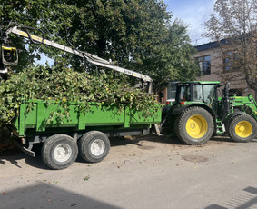 06 55 55 800 Medžių Pjovimas Ir Genėjimas Visoje Lietuvoje - Avarinių medžių pjovimas - 4 Avarinių medžių pjovimas - 06 55 55 800 Medžių Pjovimas Ir Genėjimas Visoje Lietuvoje - 4