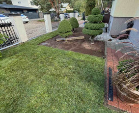 Žolės pjovimas / Apželdinimas - Vejos įrengimas: sėjimas, ruloninė veja - 3 Vejos įrengimas: sėjimas, ruloninė veja - Žolės pjovimas / Apželdinimas - 3