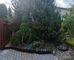 Avariniu medžių pjovimas, vaismedžių genejimas. - Šakų smulkinimas - 3 Šakų smulkinimas - Avariniu medžių pjovimas, vaismedžių genejimas. - 3