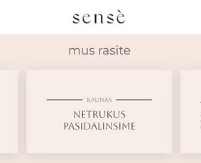 Puslapiai - El. parduotuvių kūrimas - 1 El. parduotuvių kūrimas - Puslapiai - 1