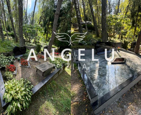 Angelų vizija - kapų tvarkymas / Angelų vizija / Darbų pavyzdys ID 3587209