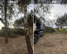 Pavojingu medžiu pjovimas, sklypų valymas, šakų išvežimas - Šakų išvežimas - 2 Šakų išvežimas - Pavojingu medžiu pjovimas, sklypų valymas, šakų išvežimas - 2