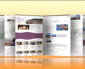 Internetiniu svetainiu kurimas - Mokėjimo sistemų pajungimas - 1 Mokėjimo sistemų pajungimas - Internetiniu svetainiu kurimas - 1