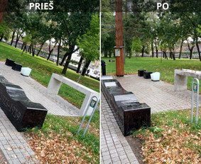 Spec. valymas: grafičių, fasado, sniego ir kt. / Profesionalus paviršių valymas. / Darbų pavyzdys ID 3589481