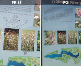 Spec. valymas: grafičių, fasado, sniego ir kt. / Profesionalus paviršių valymas. / Darbų pavyzdys ID 3589501