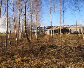 Griovimo darbai / MB Allstata / Darbų pavyzdys ID 3589695