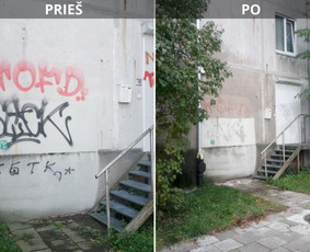 Spec. valymas: grafičių, fasado, sniego ir kt. / Profesionalus paviršių valymas. / Darbų pavyzdys ID 3590885
