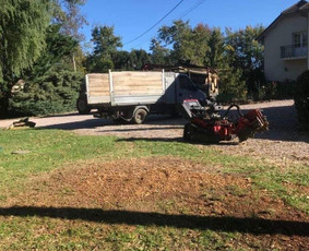 Avarinių medžių pjovimas - Kelmų &Scaron;alinimas, Auk&scaron;talipių paslaugos. - 4