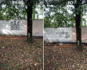 Spec. valymas: grafičių, fasado, sniego ir kt. / Profesionalus paviršių valymas. / Darbų pavyzdys ID 3591393