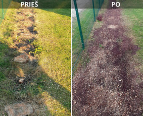 Kelmų Šalinimas, Aukštalipių paslaugos. - Kelmų naikinimas, frezavimas - 2 Kelmų naikinimas, frezavimas - Kelmų Šalinimas, Aukštalipių paslaugos. - 2