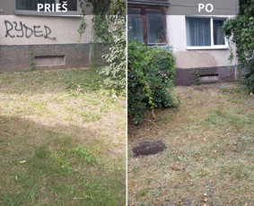 Spec. valymas: grafičių, fasado, sniego ir kt. / Profesionalus paviršių valymas. / Darbų pavyzdys ID 3591605