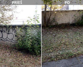 Spec. valymas: grafičių, fasado, sniego ir kt. / Profesionalus paviršių valymas. / Darbų pavyzdys ID 3591721