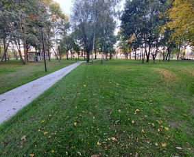 Pjaunu žole traktoriuku/trimeriu/žoliapjove - Žolės pjovimas - 2 Žolės pjovimas - Pjaunu žole traktoriuku/trimeriu/žoliapjove - 2