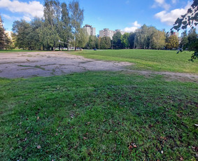 Pjaunu žole traktoriuku/trimeriu/žoliapjove - Pievų šienavimas - 1 Pievų šienavimas - Pjaunu žole traktoriuku/trimeriu/žoliapjove - 1