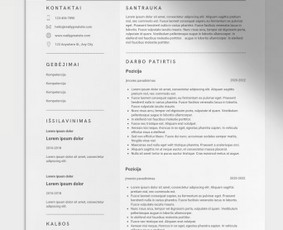 CV rašymas su konsultacija - Profesionalus Cv rašymas su konsultacija - 1