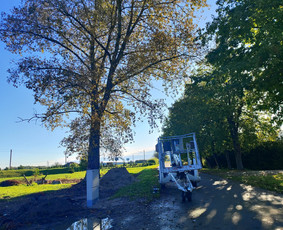 Sklypų, sodybų tvarkymas - Apleistų sklypų tvarkymas - 2 Apleistų sklypų tvarkymas - Sklypų, sodybų tvarkymas - 2