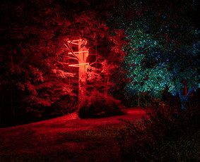Vestuvių koordinavimas, planavimas, konsultacija / Vestuvių planavimas / Darbų pavyzdys ID 3592967