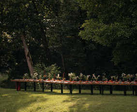 Vestuvių koordinavimas, planavimas, konsultacija / Vestuvių planavimas / Darbų pavyzdys ID 3592981