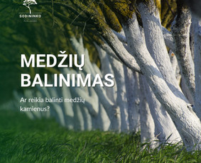 Sodininko paslaugos / facebook.com/sodininkopaslaugosklaipeda / Darbų pavyzdys ID 3594527