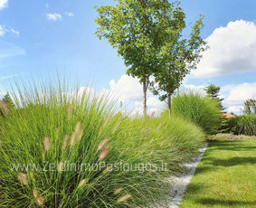 Apželdinimo Paslaugos / Želdinimo Paslaugos / Darbų pavyzdys ID 3595379