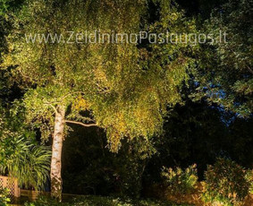 Apželdinimo Paslaugos / Želdinimo Paslaugos / Darbų pavyzdys ID 3595389
