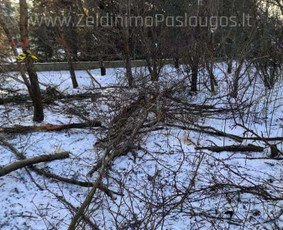 Apželdinimo Paslaugos - Apleistų sklypų tvarkymas - 2 Apleistų sklypų tvarkymas - Apželdinimo Paslaugos - 2
