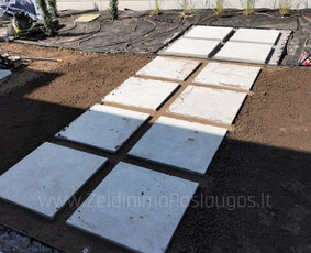 Apželdinimo Paslaugos / Želdinimo Paslaugos / Darbų pavyzdys ID 3595403