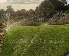 Apželdinimo Paslaugos / Želdinimo Paslaugos / Darbų pavyzdys ID 3595415