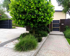 Apželdinimo Paslaugos / Želdinimo Paslaugos / Darbų pavyzdys ID 3595421