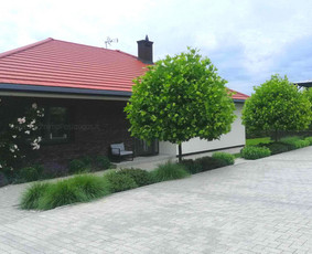 Apželdinimo Paslaugos / Želdinimo Paslaugos / Darbų pavyzdys ID 3595423