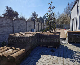Apželdinimo Paslaugos / Želdinimo Paslaugos / Darbų pavyzdys ID 3595461