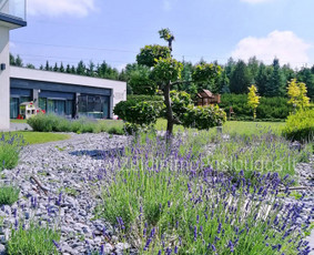 Kiemo, aplinkos apželdinimas - Apželdinimo Paslaugos - 4