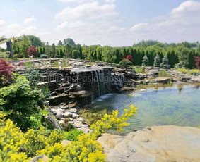 Apželdinimo Paslaugos / Želdinimo Paslaugos / Darbų pavyzdys ID 3595477