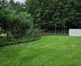Apželdinimo Paslaugos - Gyvatvorių karpymas - 1 Gyvatvorių karpymas - Apželdinimo Paslaugos - 1