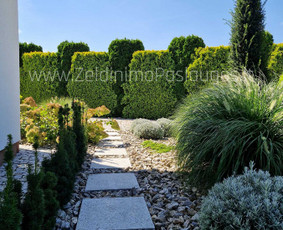 Apželdinimo Paslaugos / Želdinimo Paslaugos / Darbų pavyzdys ID 3595505