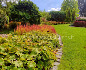 Apželdinimo Paslaugos / Želdinimo Paslaugos / Darbų pavyzdys ID 3595525