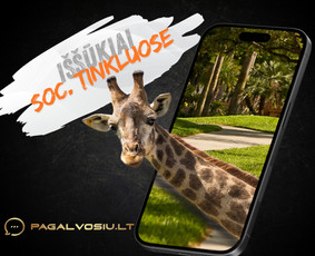 Soc. tinklų administravimas - Facebook, Instagram, Linkedin / Pagalvosiu.lt / Darbų pavyzdys ID 3596237