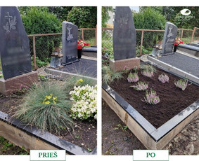 Kapų priežiūra ir tvarkymas visoje Lietuvoje – Eram Service / Eram service / Darbų pavyzdys ID 3597393