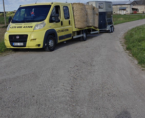 Tralas Traliukas Techninė Pagalba Kelyje Kaunas-lietuva / Rimvio_traliukas / Darbų pavyzdys ID 3598515