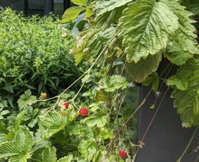 Kaitlentės pajungimas - Paslaugos - 4