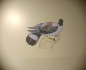 Tapytojas-sienų tapyba,dekoratyvinis tinkavimas - Baldų dekoravimas - 2 Baldų dekoravimas - Tapytojas-sienų tapyba,dekoratyvinis tinkavimas - 2