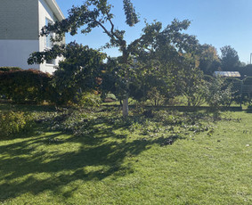 Visos pagalbinės paslaugos / Marius / Darbų pavyzdys ID 3601449