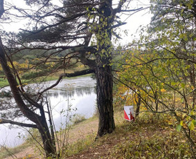 Pramoginis orientavimasis - Renginiai, šventės - 1 Renginiai, šventės - Pramoginis orientavimasis - 1