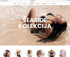 #1 Internetinių Svetainių ir Parduotuvių Kūrimas (seo/ads) / Svetainių kūrimas ir reklama / Darbų pavyzdys ID 3602119