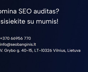 Seo Banginis – Seo, Ai Seo ir Google Ads paslaugos / Aleksejus Venzlauskas / Seo banginis / Darbų pavyzdys ID 3602913