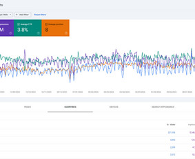 Seo Banginis – Seo, Ai Seo ir Google Ads paslaugos / Aleksejus Venzlauskas / Seo banginis / Darbų pavyzdys ID 3602925