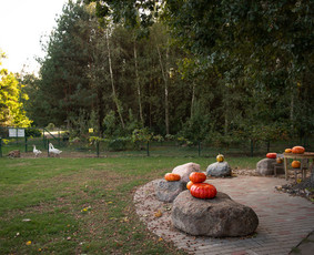 Sodybos nuoma Kauno r. (be nakvynės) - Sodybos nuomai - 2 Sodybos nuomai - Sodybos nuoma Kauno r. (be nakvynės) - 2